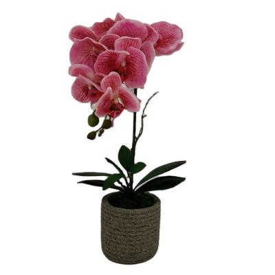 China Polyester Artificial phalaenopsis Flower Latex Orchids in Concrete Pot Real Touch Artificial Orchid with Vase for sale