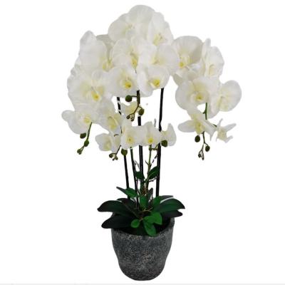 China Wholesale Customized Good Quality Fabric Large Artificial White Orchid Latex With Pot for sale