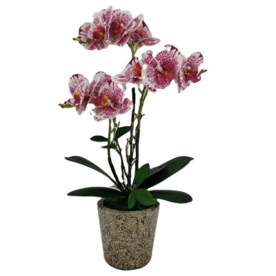 China Decorative Polyester Artificial Flower Phalaenopsis Orchid Orchid Bonsai Decorative Orchid In Pot for sale