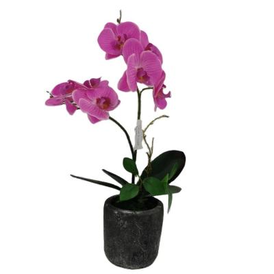 China Polyester Artificial Floral Orchid Plants Silk Flower Phalaenopsis Orchid With Artificial Pot Decorative Orchid for sale