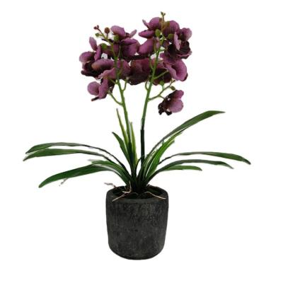 China Polyester Artificial Vanda Orchid In Pot Latex Coated Orchid Plants Artificial Decorative Orchid for sale