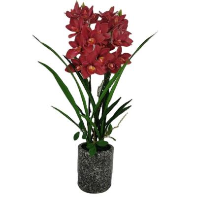 China Wholesale POLYESTER Artificial Cymbidium With Pot Decorative 3d Printed Orchid Plants Amazing Flowers Delivered for sale