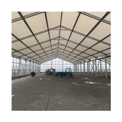 China Best Quality Garden Greenhouse Quality Outdoor Product Performance Glass Greenhouse Rain Proof Price for sale