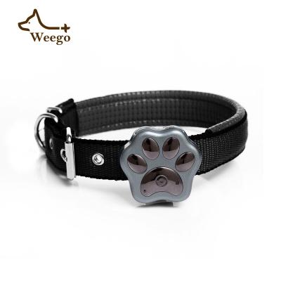 China Best Gps Weego Gps Dog Pet Collar Automatic Pet Friendly Alarm Tracker Gps Tracker Fashion Smart Collar With Tracker 1 (M) for sale