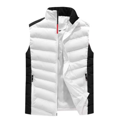 China Stand Collar Vest Winter Stand Collar Casual Comic White Winter Zipper Straight Solid Color Men Invest Zipper for sale