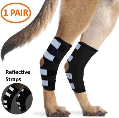 China Neoprene With Safety Reflective Straps Dog Rear Leg Braces/Canine Hind Hock Wraps for Injury and Sprain Protection for sale