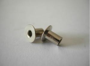 China Professional China Supplier Round Head Machine Rivets for sale