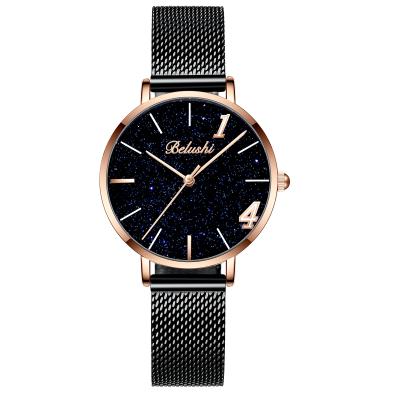 China Nordic style RJ-QB564L watch elegant starry sky mesh watch simple retro men's watch for sale