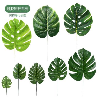 China Wedding& Home& Office decoration flower plants 2021 home decoration simulation Monstera leaf tortoise plant ornament wholesale touch artificial tropical real wedding for sale