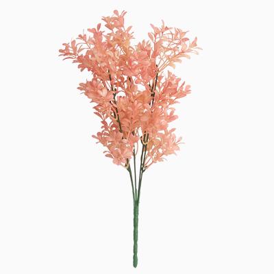 China Wedding& Home& Desktop Decoration Flower Plant Mini Flower Small Gem Grass 2020 For Decoration Phalaris Package for sale