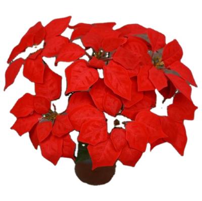 China Wedding& Home& Office Decoration Flower Plants Hot Sale Artificial Flower Christmas Festival Decoration Poinsettia for sale