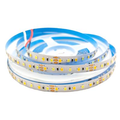 China Custom LANDSCAPE LED Strip Light Series 5mm 8mm 10mm PCB SMD2835 Flexible Strip Light DC12V DC24V Can Clip Strip Light for sale