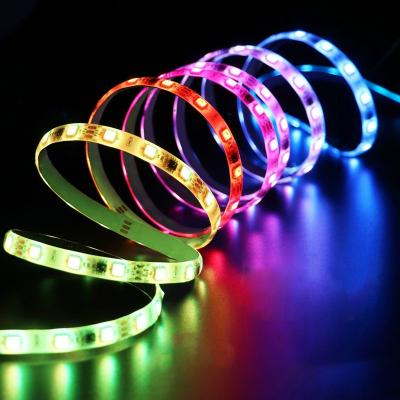 China LANDSCAPE 5V/12V/24V 2812 WS2812b Colorful Affordable Led Strips Waterproof Flexible Programmable Led Strip Light RGBW RGB IC 2022 for sale