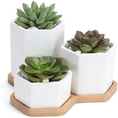 China Eco-friendly wholesale bamboo succulent planter flower pot shelf stand with bamboo tray for sale