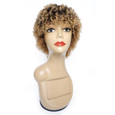 China Wholesale Curly Pixie Cut Human Hair Wigs Bob Brazilian Human Hair Boy Short Wigs for Granny and Young Girl for sale