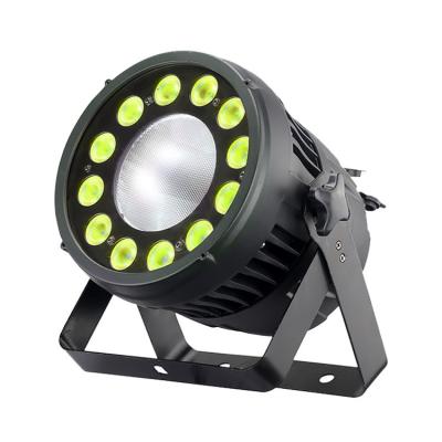 China Stage 12 LED Party Club Disco Wedding Light Sound Activated Professional DMX512 RGBW 200w LED Par Stage Light with RoHS Certification for sale