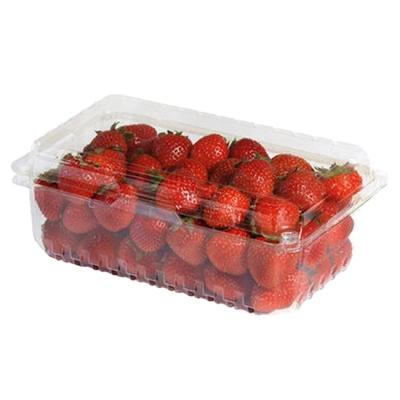 China Other Dry Fruit Packaging Plastic Container Clam Shell Blister for sale