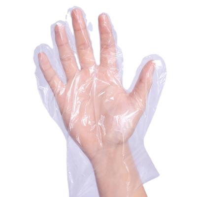 China Daily home use High Standard disposable products Disposable Polyethylene Gloves disposable glove for sale