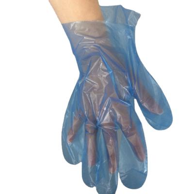 China NEW ARRIVAL disposable ce certificate vinyl gloves vinyl exam Glove à venda