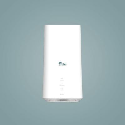 China Dual Band CPE 5G Multi-band Enterprise 100Mbps Wifi Wireless Router XZC5552 for sale