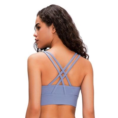 China New Antibacterial High Quality Yoga Women Fitness And Wear Plus Size Yoga Cross Sports Blue Bra Top Fitness for sale