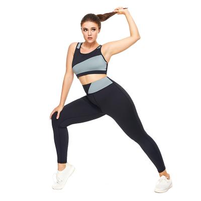 China Breathable Yoga Wear Plus Size Long Sleeve T-Shirt And Burnout Yoga Wear Sets Women Fitness Wear Tops Wholesale for sale