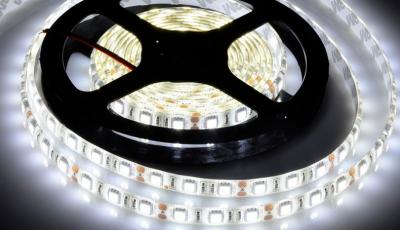 China Superhelligkeit 5050 Smd führte Streifen-Ersatz 20 - 22Lm 26w zu verkaufen