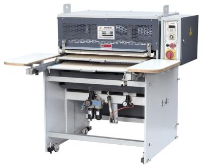 China Factory DS-868-660 Double Layer Slip Table Ironing And Fusing Machine For Leather for sale