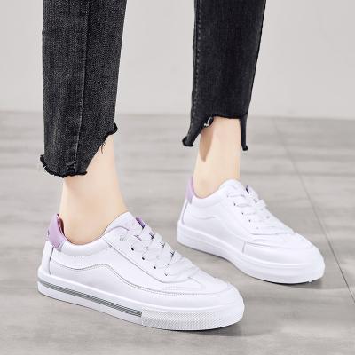 China Cushioning Skateborad White Sneaker Woman Casual Daily Walking Shoes Shoes Girl Sneaker Shoes for sale