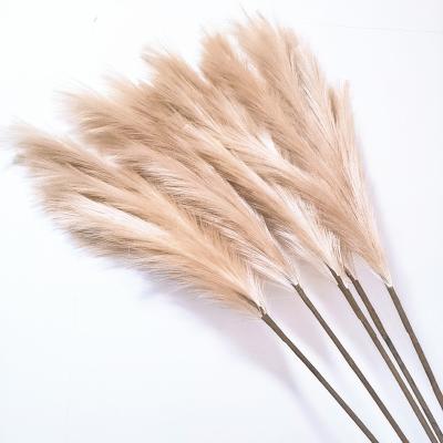 China Beautiful Colorful Wholesale Fake Pampas Grass 43