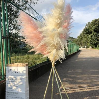 China 2022 New Natural Dried Pampas Grass Wedding Large Fluffy Home Decor Colorful Beautiful Decor 120cm Pampas Flowers Arch Decor for sale