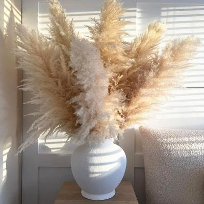 China Wedding Flower Arrangements Wholesale Bohemian Wedding Decor Big Plume Decor Natural Preserved Dry Pampas Grass Flower Real Dry Pampas Grass For Decoration for sale