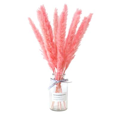 China Yunnan Dry Plant Pampas Grass Arrangement Wedding Decoration ZanTe Wedding Flowers Wholesale Dry Flowers For Wedding Decoration for sale