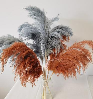 China Wholesale Large wild fluffy Reed 60 cm small Pampas Reed Pampas 2022 new natural popular flower wedding vase floor home decoration 5 for sale