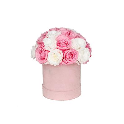 China Preserved Eternal Roses ZanTe DIY Gift For Girl Eternity Forever Rose Real Touch Rose Flowers Agaric Mushroom Gift Box Preserved Roses For Valentine for sale