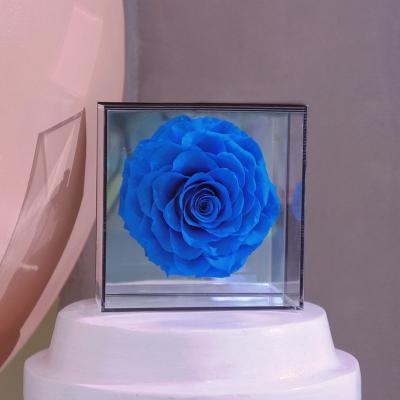 China New Product Natural Original Rose Ideas Wholesale Luxury Flower Gifts Box Rose In Transparent Acrylic Box Eternal Preserved Roses With Mirror for sale