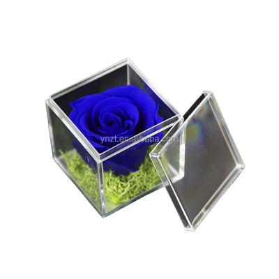 China ZanTe Preserved Rose Head Preserved Square Clear Acrylic Rose Flowers Gift Rose Box For Mother's Day Wedding Birthday Valentine's Day for sale