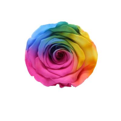 China New Wedding ZT 2022 Unique Colorful Red Black White Purple Blue Rose Mix Color Special Roses 4 - 5 cm Fantasy Sexy Rose Flower Head for sale