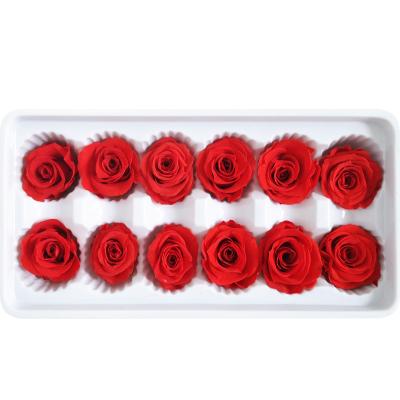 China Real Natural ZanTe Rose Wholesale 2022 New Fresh Preserved Rose Flowers 12 Pcs Box Order 3 - 4 cm Small Roses For Gifts Crafts Decorations for sale