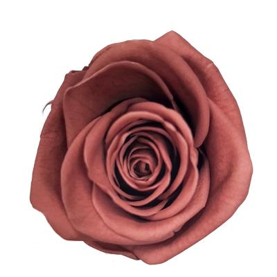 China Preserved Roses In Box 6 PCS 2022 Fresh Preserved Rose Flower Preserved Forever Eternal Everlasting Eternal Infinite Colors Grade 50 Preserved Roses for sale