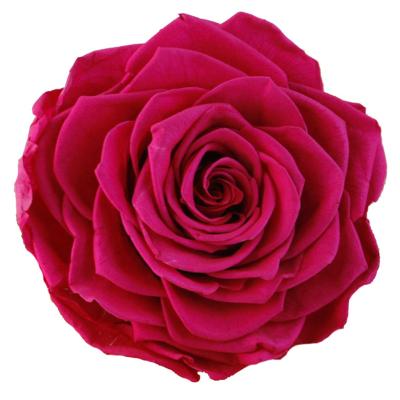 China ZanTe Beautiful New 3 PCS Colorful 2022 Wholesale Box Handmade Order 7 - 8 cm Preserved Real Rose Flower For Wedding Centerpieces DIY Gifts for sale