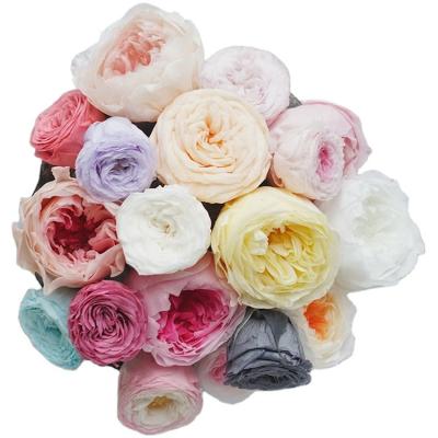 China Real Fresh Natural Austin Rose ZanTe Customize Any Colors 3 4 5 6 cm Real Touch Preserved David Austin Rose Long Lasting Preserved Roses Ostin for sale