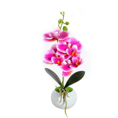 China New Classic Mini Real Small Plant Butterfly Orchid Feel Artificial Flower Display Pot for sale