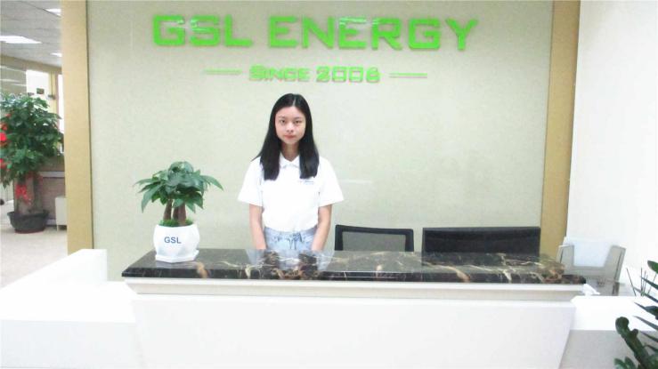 Verified China supplier - Shenzhen Gsl Energy Co., Ltd.