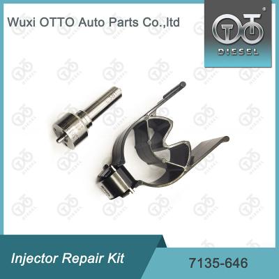 China 7135 - 646 Kit de reparação de injetores Delphi para injetores 28232251 à venda