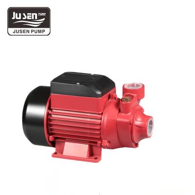 China Buildings Commercial STRATEGY 60 70 80 Series Vortex 0.5hp 1 Hp Surface Water Propeller Irrigation Pump for sale