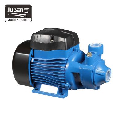 China Other Domestic Outdoor Cast Iron Electric Water Vortex Pumps For Household Supplies for sale