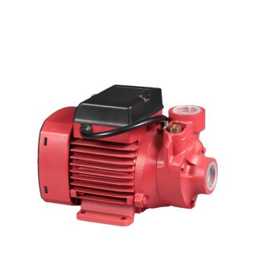 China Commercial Buildings QUARTER Cast Iron Electric Power Centrifugal Water Pump Irrigation Pumps for sale