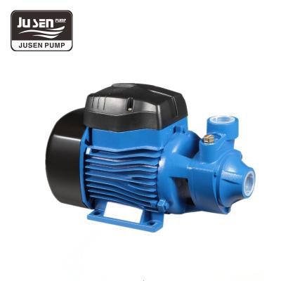 China Other Jusen QB60 0.5hp Water Pump Features Domestic Vortex Water Pump for sale