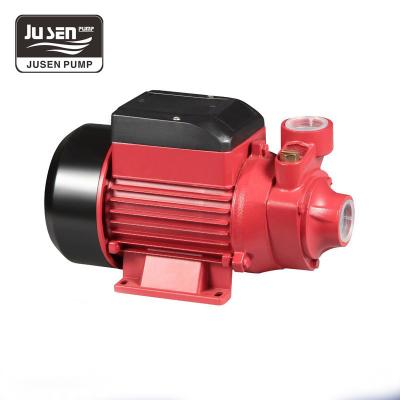 China OEM Buildings ODM Commercial Heavy Duty Electric Vortex Self Priming Centrifugal Water Pump With Brass Impeller for sale